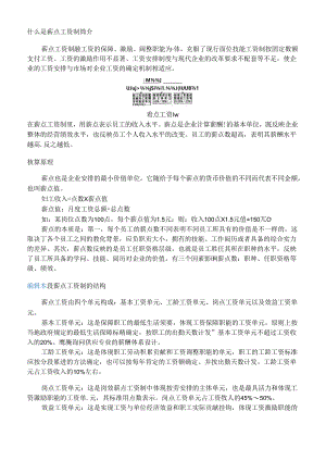 什么是薪点工资制.docx