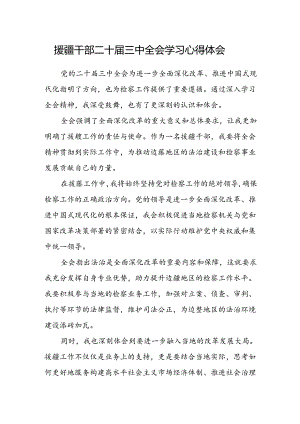 援疆干部二十届三中全会学习心得体会.docx