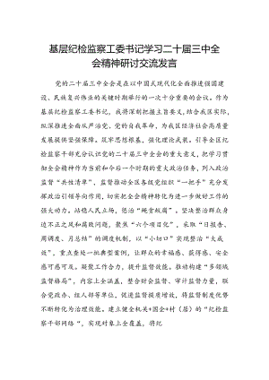 基层纪检监察工委书记学习二十届三中全会精神研讨交流发言.docx