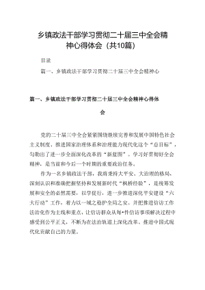 （10篇）乡镇政法干部学习贯彻二十届三中全会精神心得体会范文.docx
