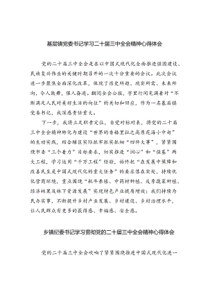 基层镇党委书记学习二十届三中全会精神心得体会8篇（精选版）.docx