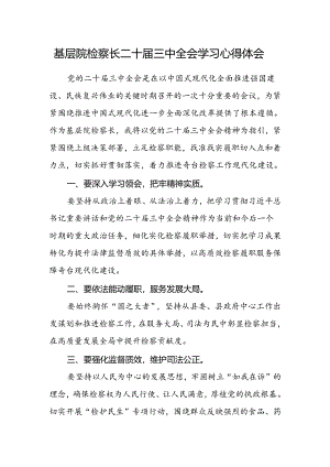 基层院检察长二十届三中全会学习心得体会.docx