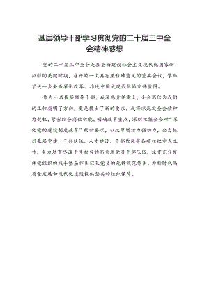 基层领导干部学习贯彻党的二十届三中全会精神感想.docx