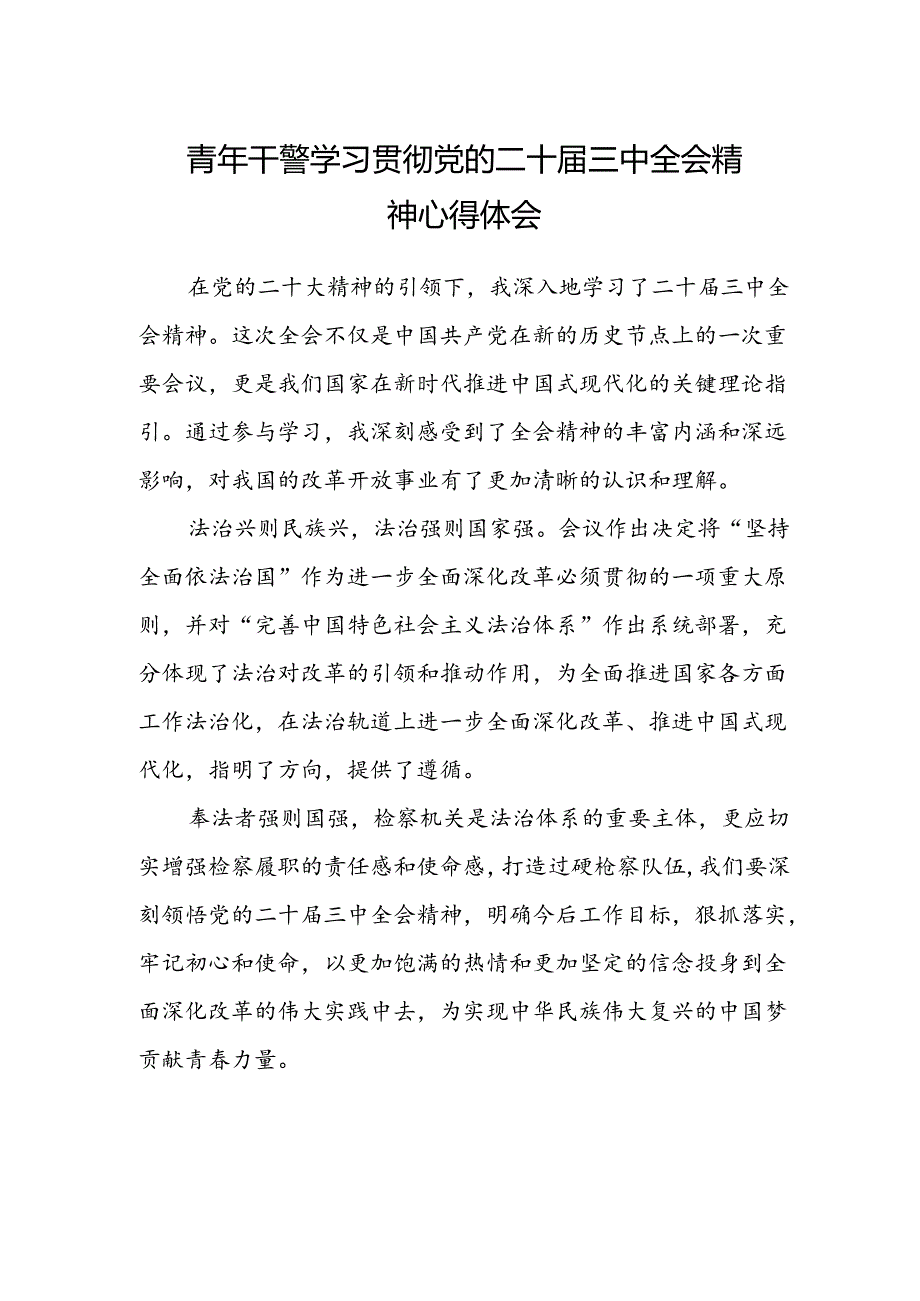 青年干警学习贯彻党的二十届三中全会精神心得体会.docx_第1页