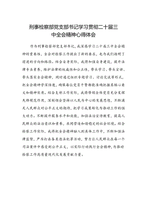 刑事检察部党支部书记学习贯彻二十届三中全会精神心得体会.docx