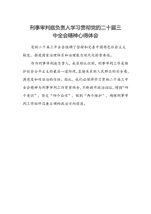 刑事审判庭负责人学习贯彻党的二十届三中全会精神心得体会.docx