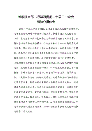 检察院支部书记学习贯彻二十届三中全会精神心得体会.docx