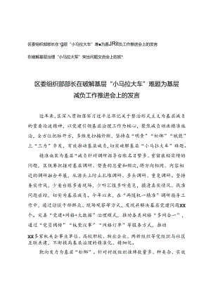 2024年9月在破解基层“小马拉大车”难题为基层减负工作推进会上的发言.docx