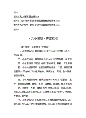 九小场所”界定标准、消费安全监督检查、行业管理责任清单.docx