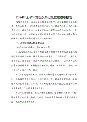 2024年上半年党组织书记抓党建述职报告.docx