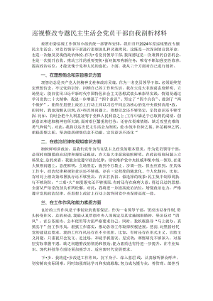 巡视整改专题民主生活会党员干部自我剖析材料.docx