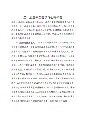 二十届三中全会学习心得体会.docx