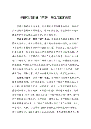 党建引领助推“两新”群体“新新”向荣.docx