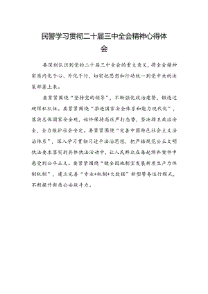 民警学习贯彻二十届三中全会精神心得体会.docx