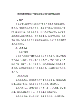 2024市医疗保障局关于市委巡察组反馈问题的整改方案.docx