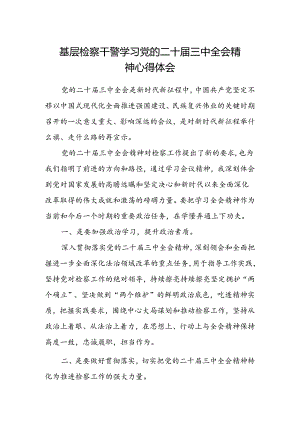 基层检察干警学习党的二十届三中全会精神心得体会.docx