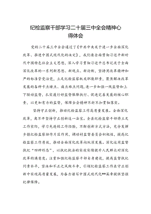 纪检监察干部学习二十届三中全会精神心得体会.docx