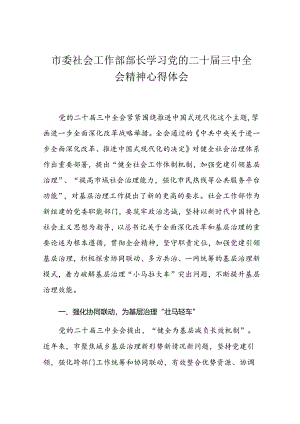 市委社会工作部部长学习党的二十届三中全会精神心得体会.docx