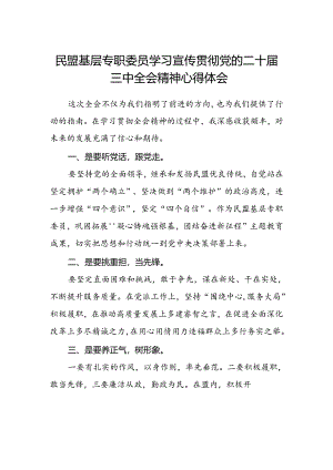 民盟基层专职委员学习宣传贯彻党的二十届三中全会精神心得体会.docx