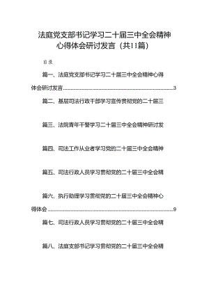 （11篇）法庭党支部书记学习二十届三中全会精神心得体会研讨发言（精选）.docx