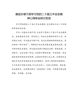基层乡镇干部学习党的二十届三中全会精神心得体会研讨发言.docx