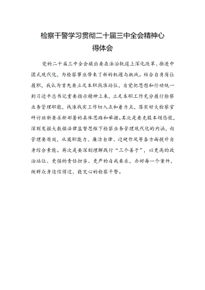 检察干警学习贯彻二十届三中全会精神心得体会范文.docx