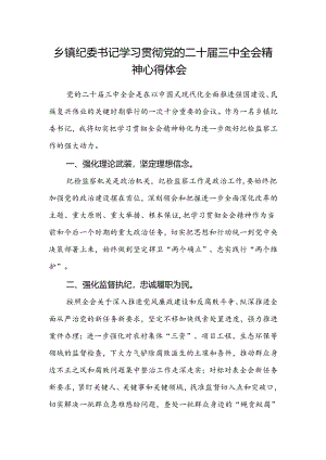 乡镇纪委书记学习贯彻党的二十届三中全会精神心得体会.docx