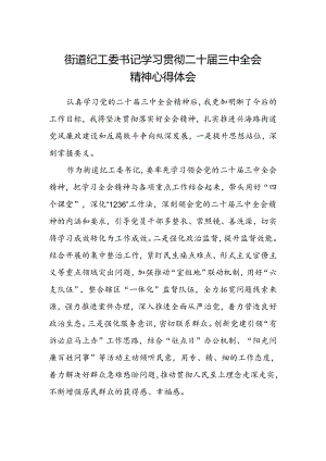 街道纪工委书记学习贯彻二十届三中全会精神心得体会.docx