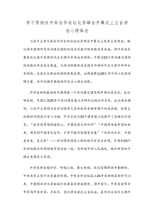 学习贯彻在中非合作论坛北京峰会开幕式上主旨讲话心得体会.docx