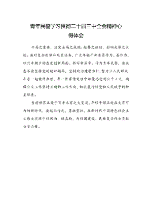 青年民警学习贯彻二十届三中全会精神心得体会.docx