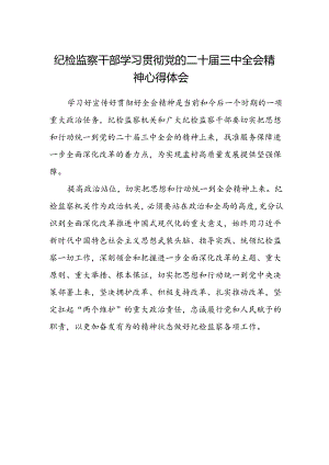 纪检监察干部学习贯彻党的二十届三中全会精神心得体会.docx