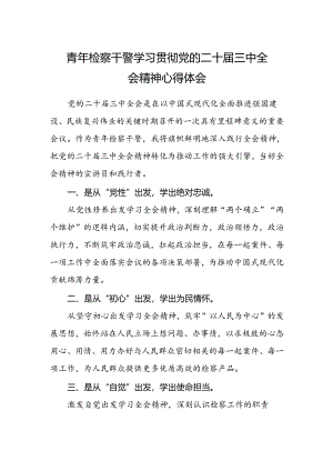 青年检察干警学习贯彻党的二十届三中全会精神心得体会.docx