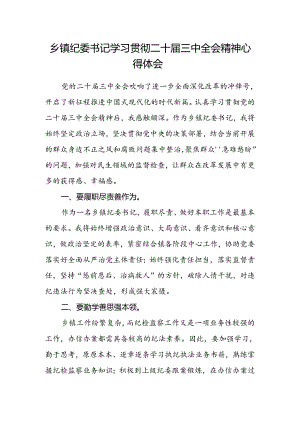乡镇纪委书记学习贯彻二十届三中全会精神心得体会.docx