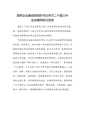国有企业基层党组织书记学习二十届三中全会精神研讨发言.docx