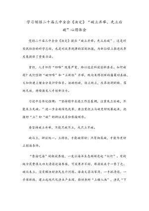 学习领悟二十届三中全会《决定》“破立并举、先立后破”心得体会.docx