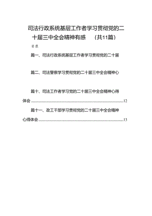 （11篇）司法行政系统基层工作者学习贯彻党的二十届三中全会精神有感（精选）.docx