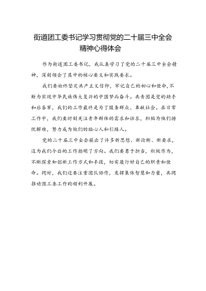 街道团工委书记学习贯彻党的二十届三中全会精神心得体会范文.docx