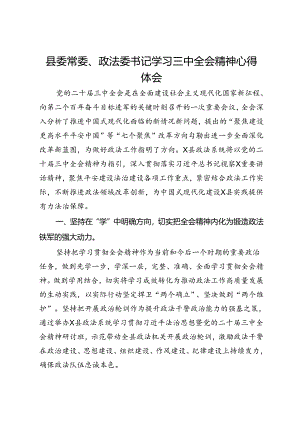 县委常委、政法委书记学习三中全会精神心得体会.docx
