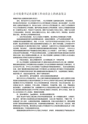 公司党委书记在巡察工作动员会上的表态发言.docx