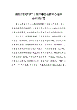 基层干部学习二十届三中全会精神心得体会研讨发言.docx