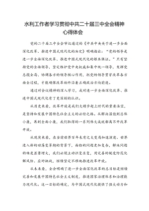 水利工作者学习贯彻中共二十届三中全会精神心得体会.docx