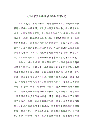 小学教师暑期备课心得体会.docx