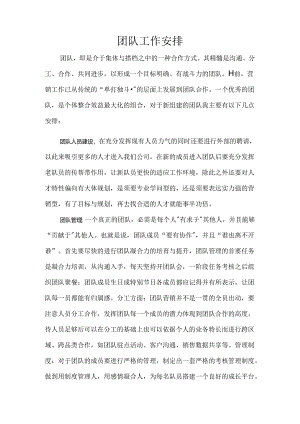 团队建设思路及计划.docx