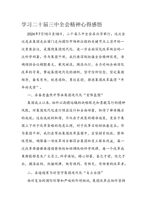 学习二十届三中全会精神心得感悟(6).docx