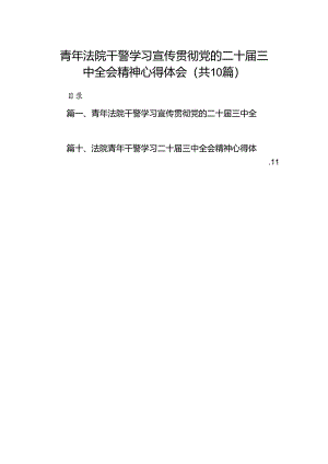 （10篇）青年法院干警学习宣传贯彻党的二十届三中全会精神心得体会范文.docx