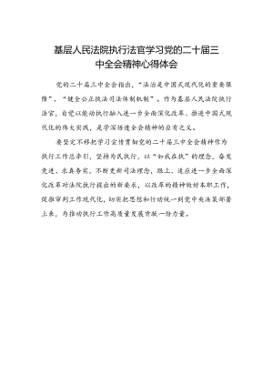 基层人民法院执行法官学习党的二十届三中全会精神心得体会.docx