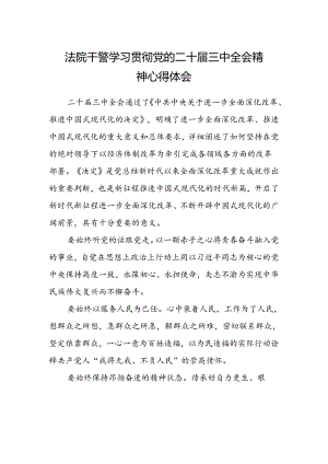 法院干警学习贯彻党的二十届三中全会精神心得体会范本.docx