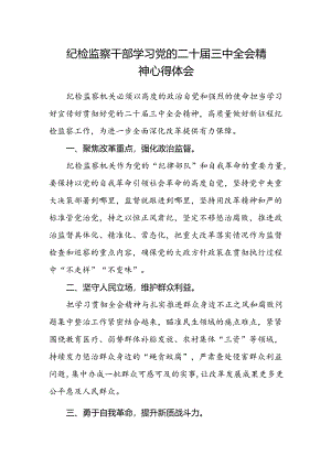 纪检监察干部学习党的二十届三中全会精神心得体会.docx