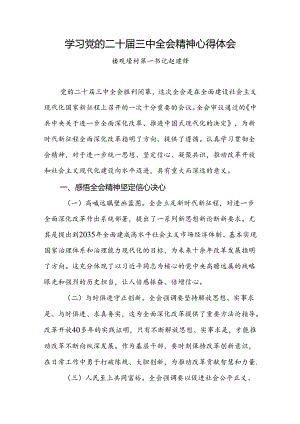 学习党的二十届三中全会精神心得体会 3篇.docx