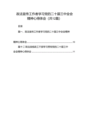 政法宣传工作者学习党的二十届三中全会精神心得体会（共12篇）.docx